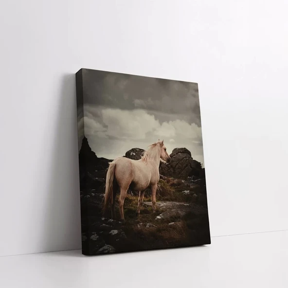 Beyaz At Kanvas Tablo - Resim 2