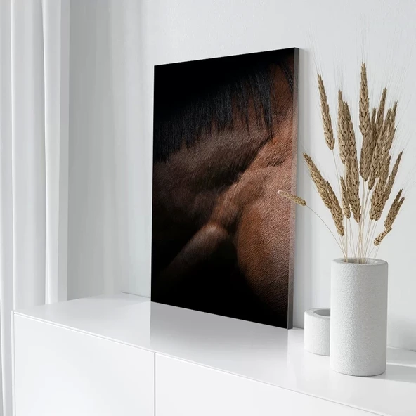 Siyah Yeleli At Kanvas Tablo - Resim 3