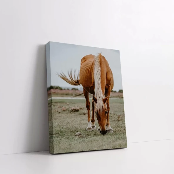 Kahverengi At Kanvas Tablo - Resim 2