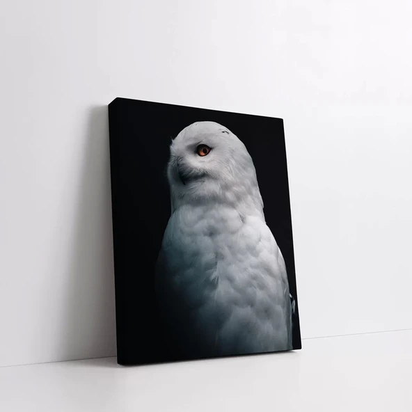 Beyaz Baykuş Kanvas Tablo - Resim 2