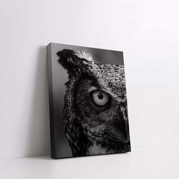 Siyah Baykuş Kanvas Tablo - Resim 2