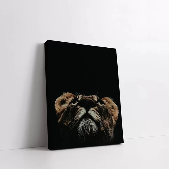 Minik Aslan Kanvas Tablo - Resim 2