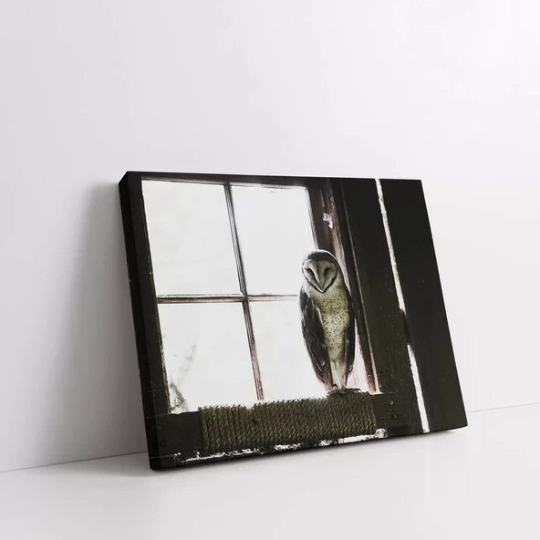 Baykuş Kanvas Tablo - Resim 2