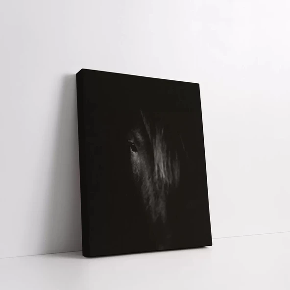 Siyah At Kanvas Tablo - Resim 2