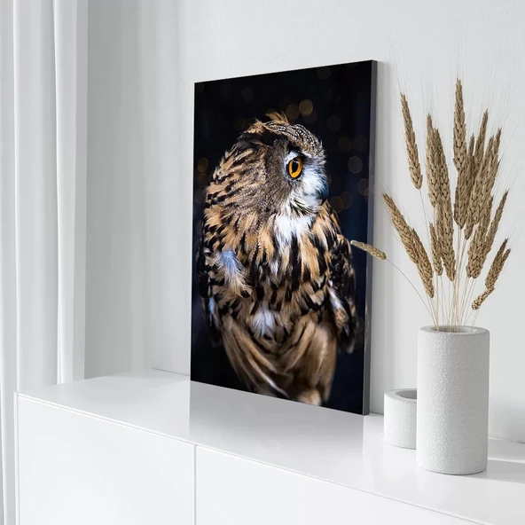 Kahverengi Baykuş Kanvas Tablo - Resim 3