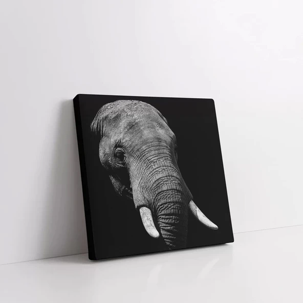 Savana Hikayeleri Kanvas Tablo - Resim 2