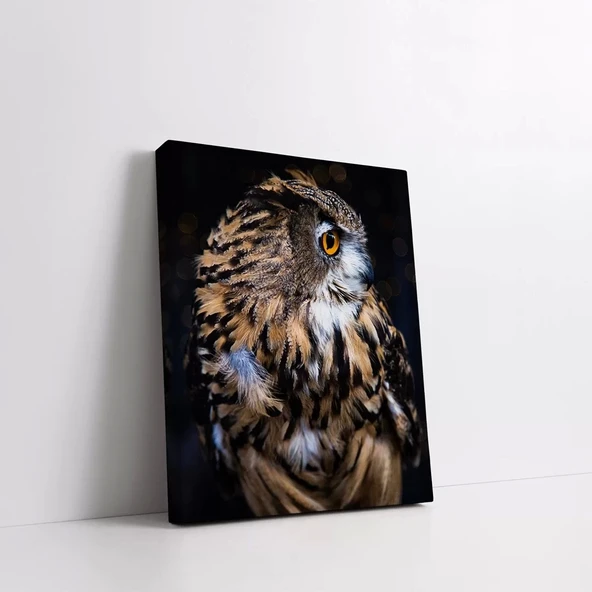 Kahverengi Baykuş Kanvas Tablo - Resim 2
