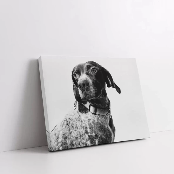 Köpek Portresi Kanvas Tablo - Resim 2
