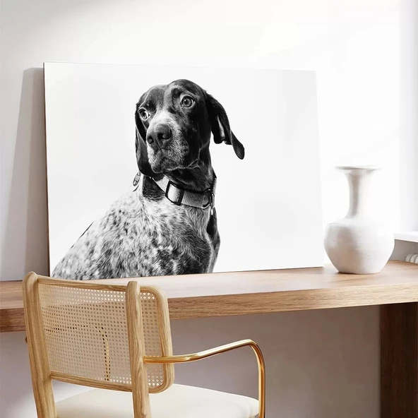 Köpek Portresi Kanvas Tablo - Resim 3