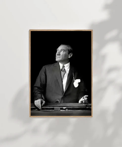 Çerçevesiz Poster Ufka Bakan Lider - Resim 7