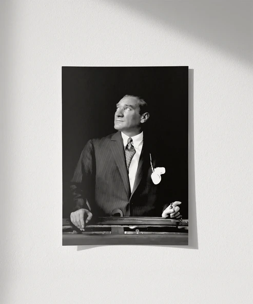 Çerçevesiz Poster Ufka Bakan Lider - Resim 8