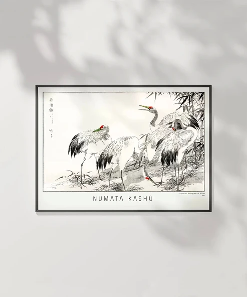 Çerçevesiz Poster Numata Kashu Kuşlar - Resim 2