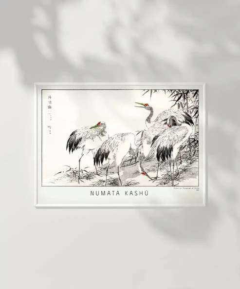 Çerçevesiz Poster Numata Kashu Kuşlar - Resim 6