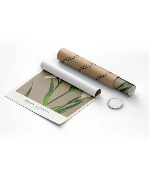 Çerçevesiz Poster Ogawa Kazumasa Beyaz Süsen - Resim 8