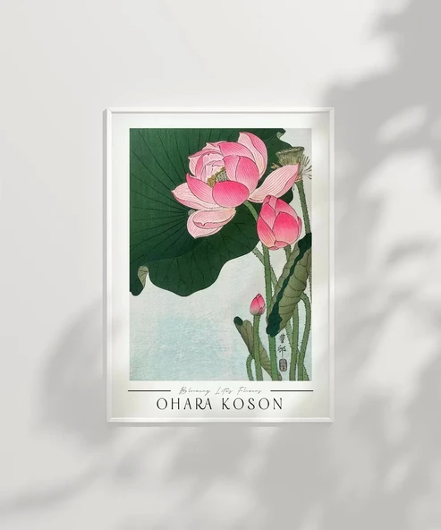 Çerçevesiz Poster Ohara Koson Çiçek Açan Lotus - 6