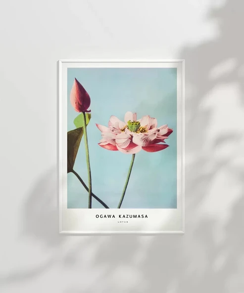 Çerçevesiz Poster Ogawa Kazumasa Lotus - Resim 6
