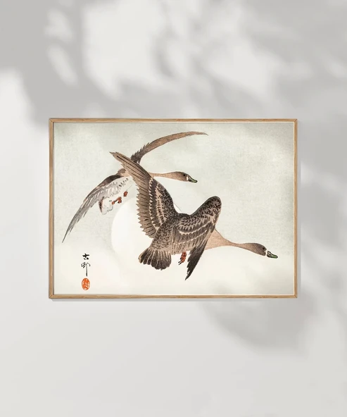 Çerçevesiz Poster Sessiz Kanatlar - Resim 6