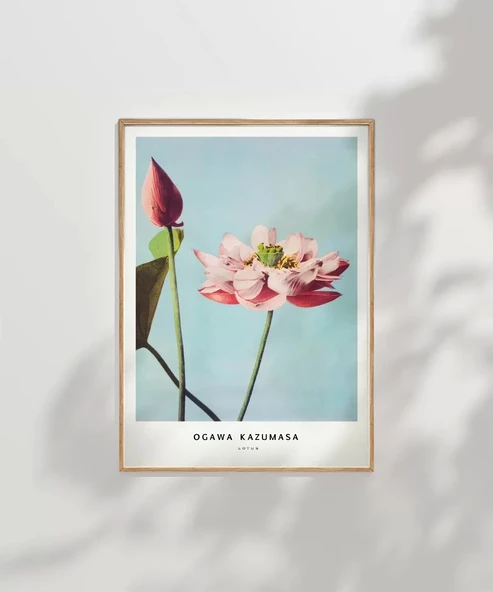 Çerçevesiz Poster Ogawa Kazumasa Lotus - Resim 7