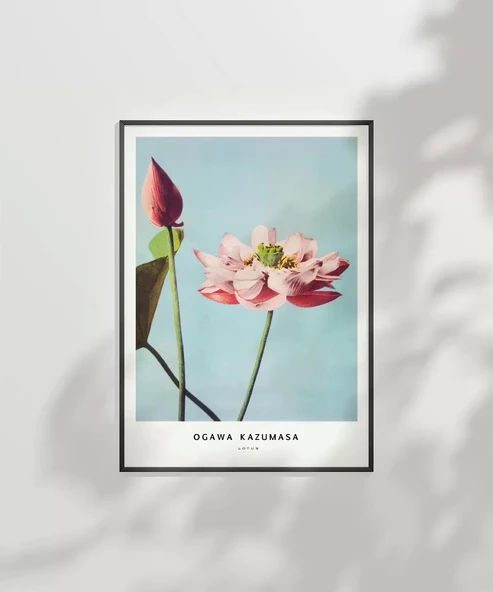 Çerçevesiz Poster Ogawa Kazumasa Lotus - Resim 2