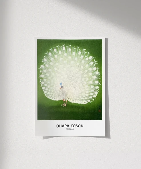 Çerçevesiz Poster Ohara Koson Tavuskuşu ürün görseli