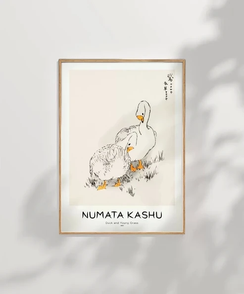 Çerçevesiz Poster Numata Kashu Ördekler ve Çimen - Resim 7