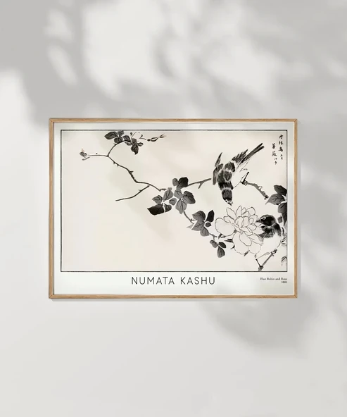 Çerçevesiz Poster Numata Kashu Kızılgerdan ve Gül - Resim 6