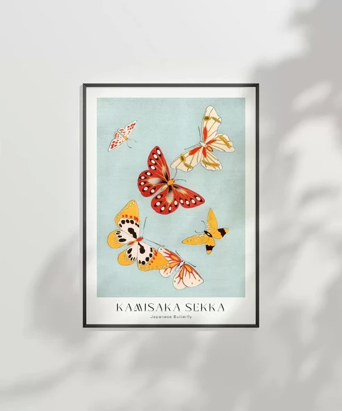 Çerçevesiz Poster Kamisaka Sekka Japon Kelebekler - Resim 2