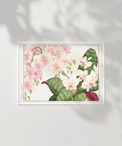 Çerçevesiz Poster Baharın Dokunuşu - Resim 7