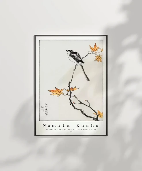 Çerçevesiz Poster Numata Kashu Japon Uzun Kuyruklu Baştankara ve Akçaağaç - Resim 2
