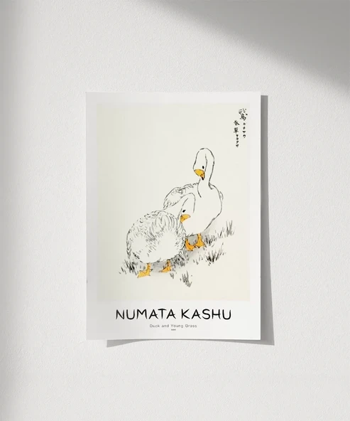 Çerçevesiz Poster Numata Kashu Ördekler ve Çimen ürün görseli