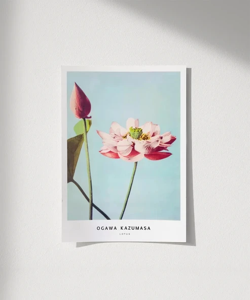 Çerçevesiz Poster Ogawa Kazumasa Lotus ürün görseli