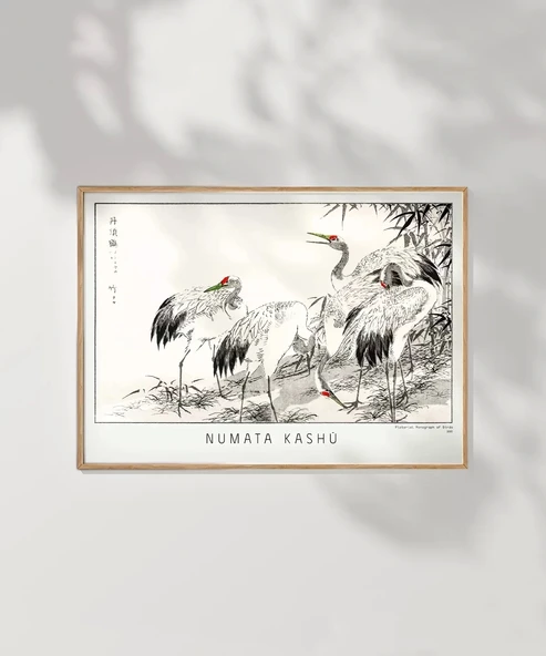 Çerçevesiz Poster Numata Kashu Kuşlar - Resim 7