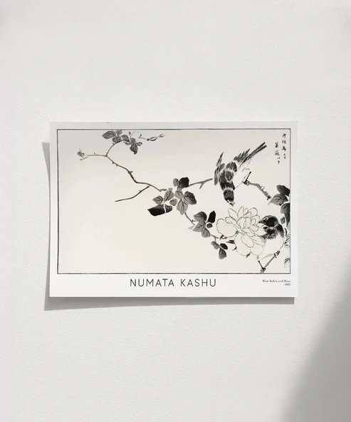 Çerçevesiz Poster Numata Kashu Kızılgerdan ve Gül ürün görseli