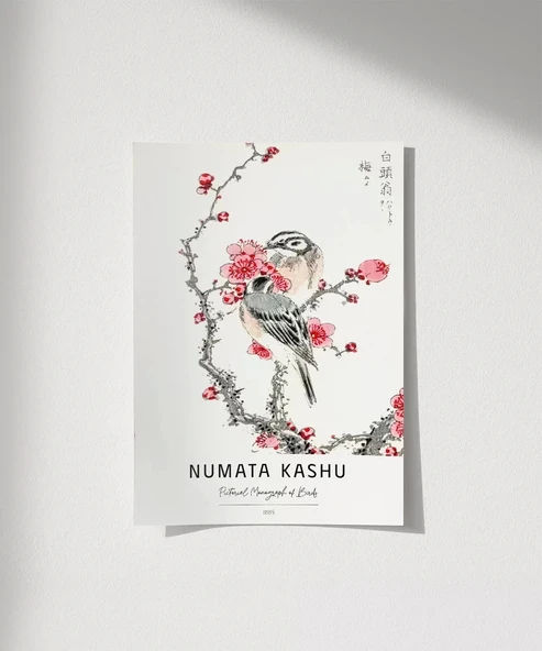 Çerçevesiz Poster Numata Kashu Kuşlar ürün görseli