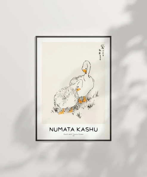 Çerçevesiz Poster Numata Kashu Ördekler ve Çimen - Resim 2