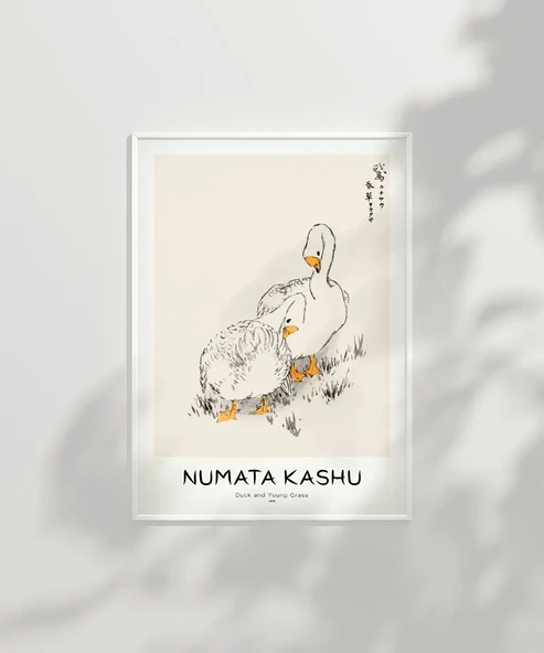 Çerçevesiz Poster Numata Kashu Ördekler ve Çimen - Resim 6