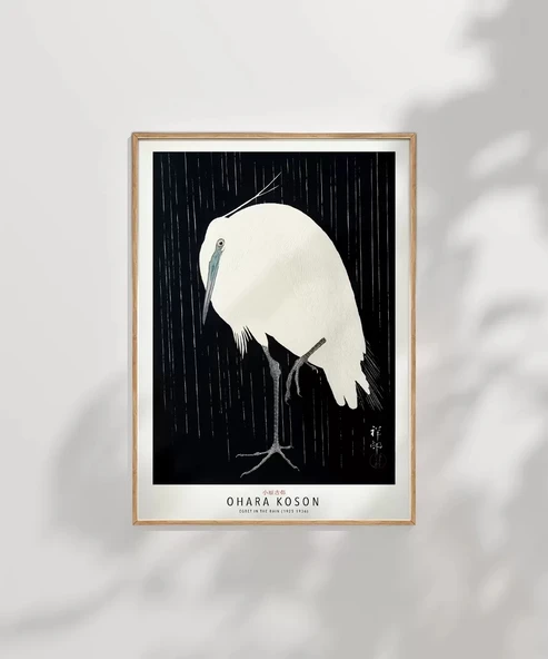 Çerçevesiz Poster Ohara Koson Yağmurda Ak Balıkçıl - Resim 7