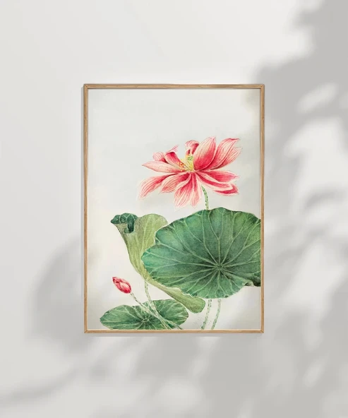 Çerçevesiz Poster Su Üstü Güzellik - Resim 7