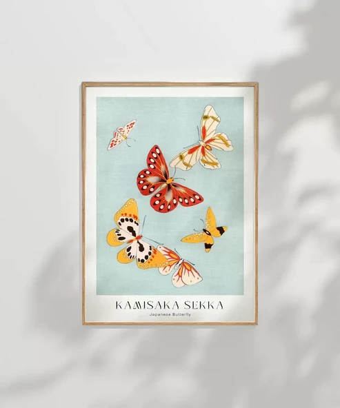 Çerçevesiz Poster Kamisaka Sekka Japon Kelebekler - Resim 7
