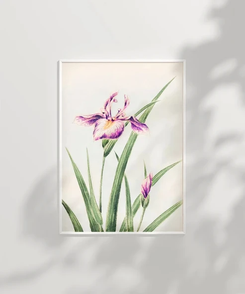 Çerçevesiz Poster Doğanın Fırça Darbeleri - Resim 6