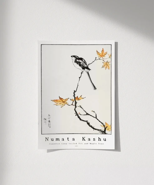 Çerçevesiz Poster Numata Kashu Japon Uzun Kuyruklu Baştankara ve Akçaağaç ürün görseli