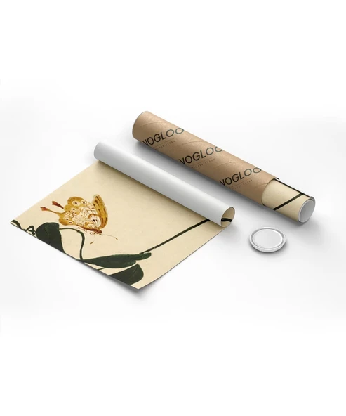 Çerçevesiz Poster Kelebeğin Dokunuşu - Resim 8