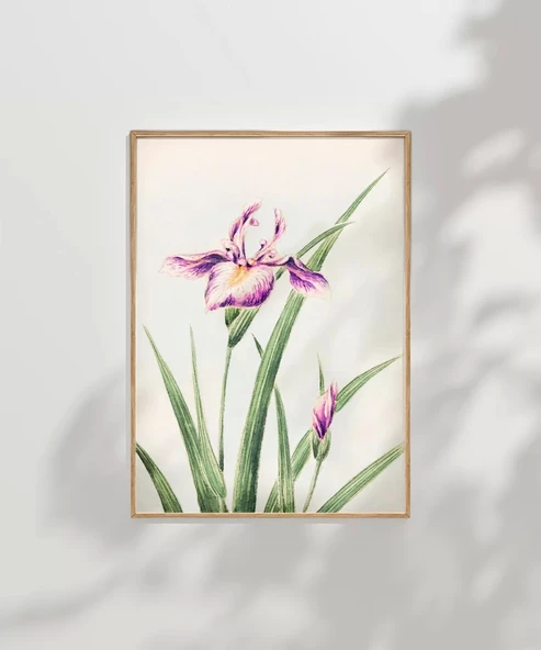 Çerçevesiz Poster Doğanın Fırça Darbeleri - Resim 7