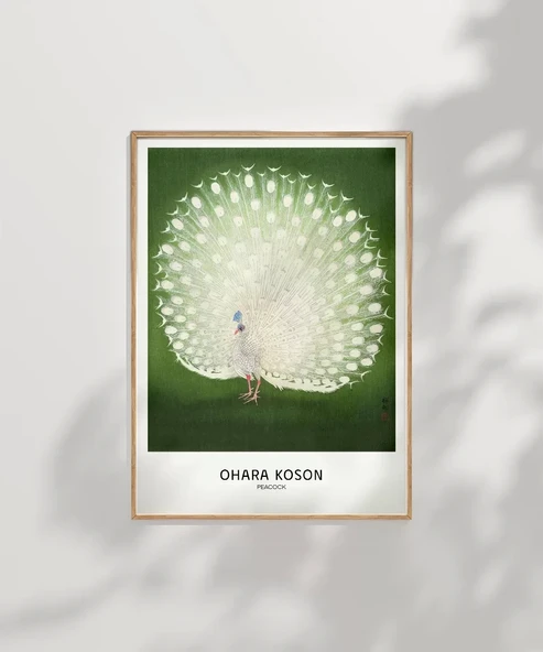 Çerçevesiz Poster Ohara Koson Tavuskuşu - Resim 7