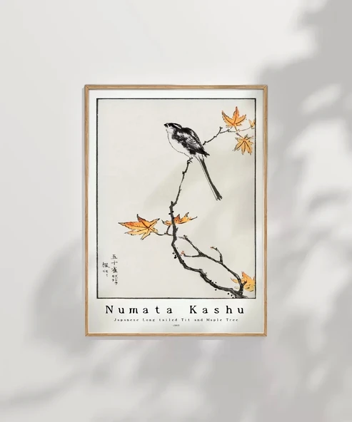 Çerçevesiz Poster Numata Kashu Japon Uzun Kuyruklu Baştankara ve Akçaağaç - Resim 7