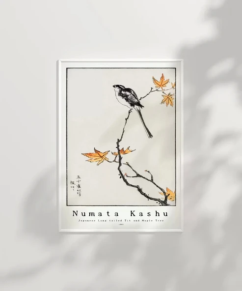 Çerçevesiz Poster Numata Kashu Japon Uzun Kuyruklu Baştankara ve Akçaağaç - Resim 6