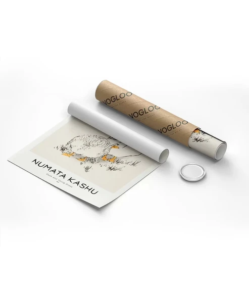 Çerçevesiz Poster Numata Kashu Ördekler ve Çimen - Resim 8