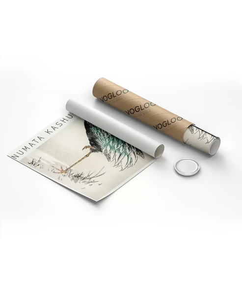 Çerçevesiz Poster Numata Kashu Turna - Resim 8