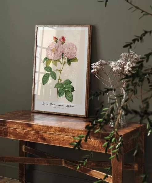 Çerçevesiz Poster Rosa Damascane Italica - Resim 4