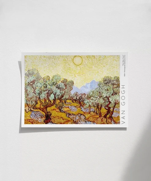 Çerçevesiz Poster Vincent Van Gogh Zeytin Ağaçları - 1